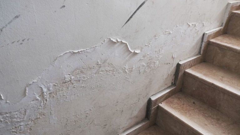 mould-and-damp-issues-768x432